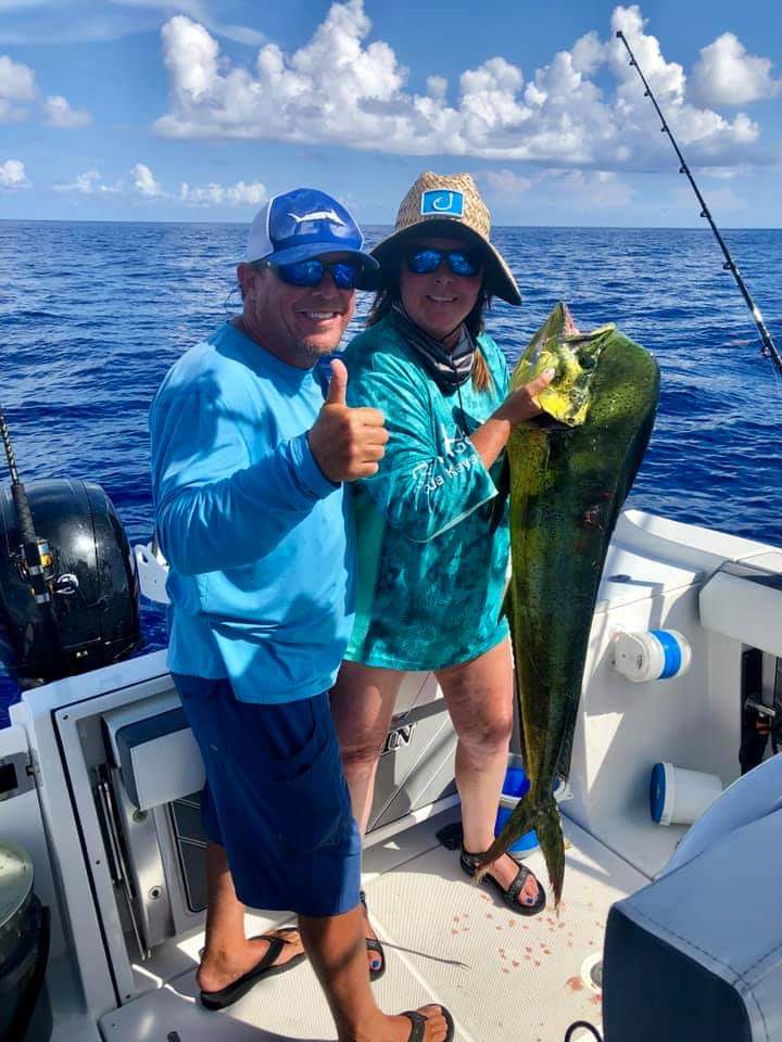 Dolphin Fish Mounts & Replicas by CoasttoCoast Fish Mounts